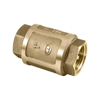 308510I0 RBM terugslagklep Everest 1" FF