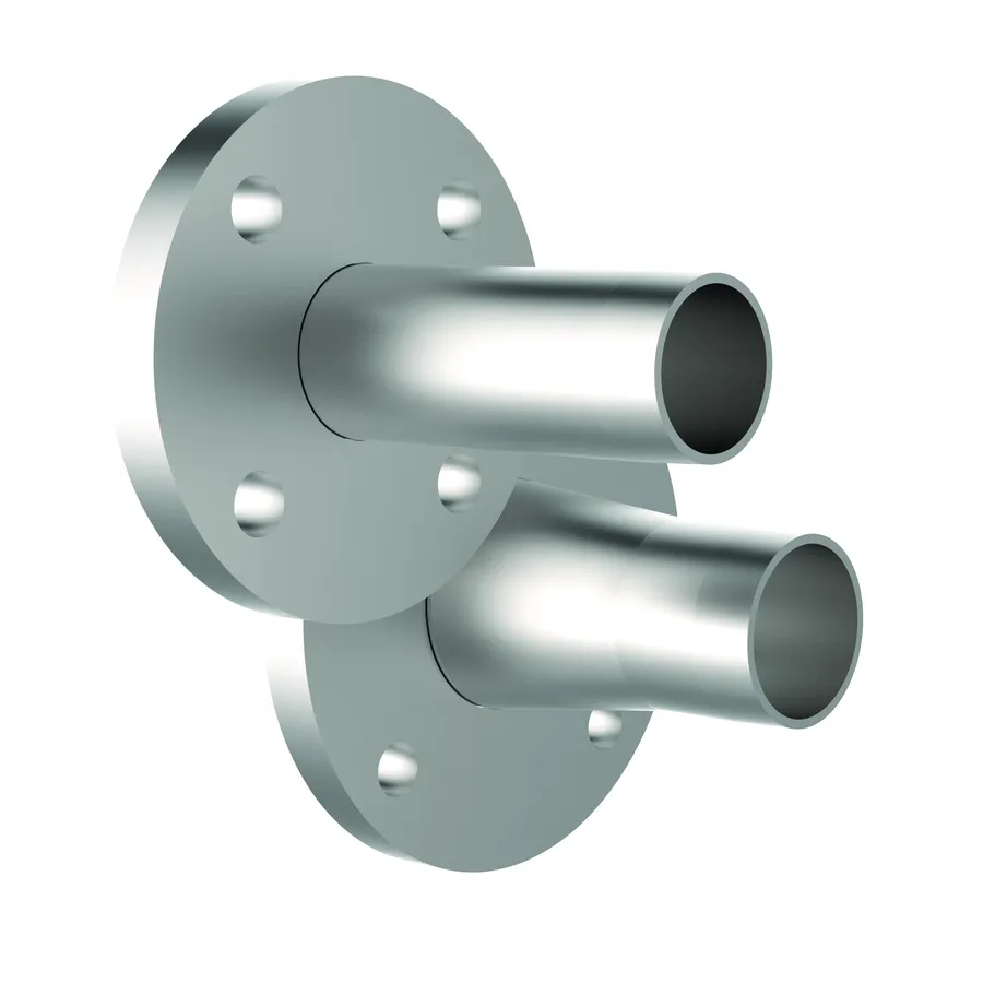 Fiorini draadflens DN65 2 inch staal connector