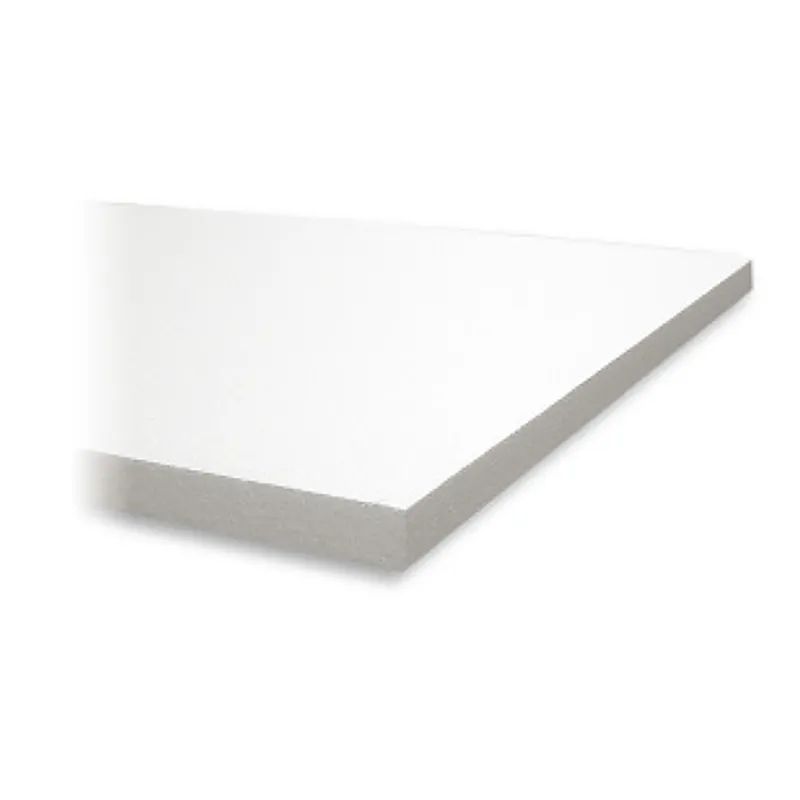 6100700 RDZ blind paneel